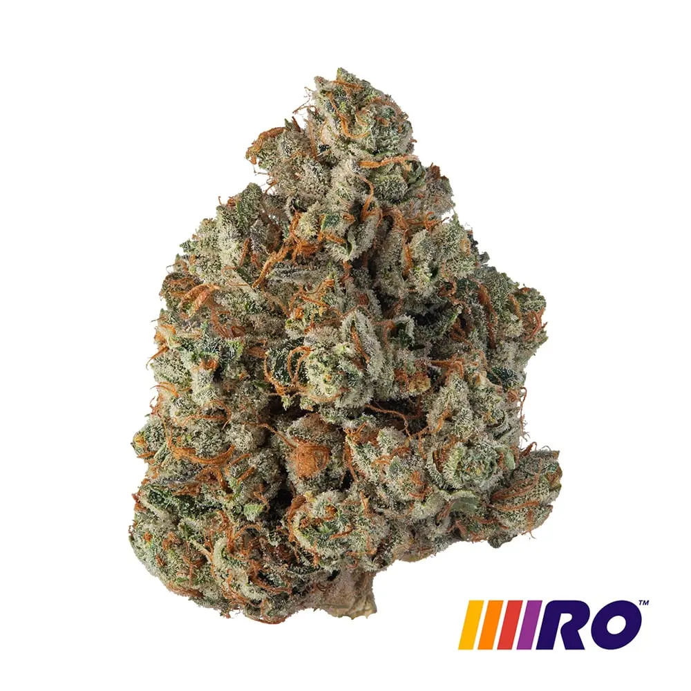 R.O. – Commander Kush