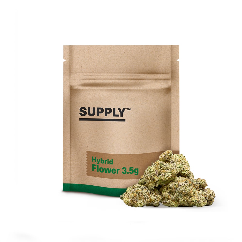 Supply™ – Red Berries