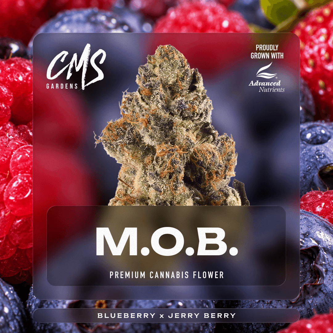 CMS Gardens – M.O.B.