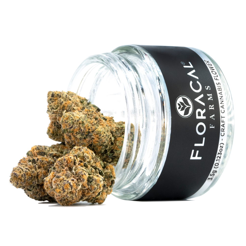 FloraCal™ – Morning Dew