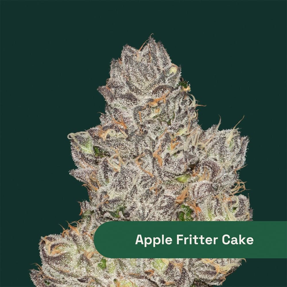 Botanist – Apple Fritter Cake