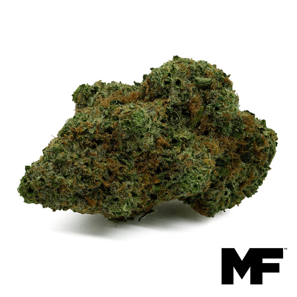 Modern Flower – Melonade
