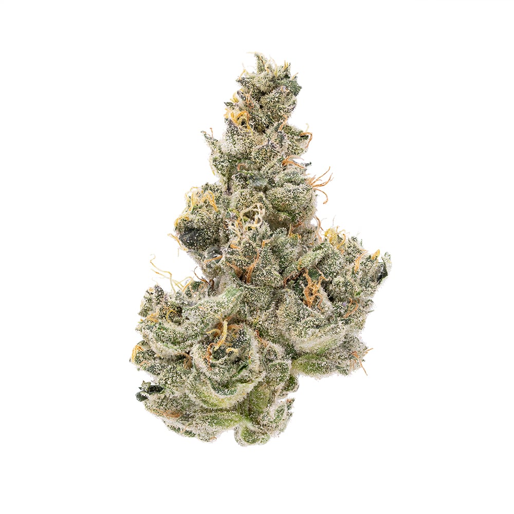 Terrapin – NYC Sour Diesel