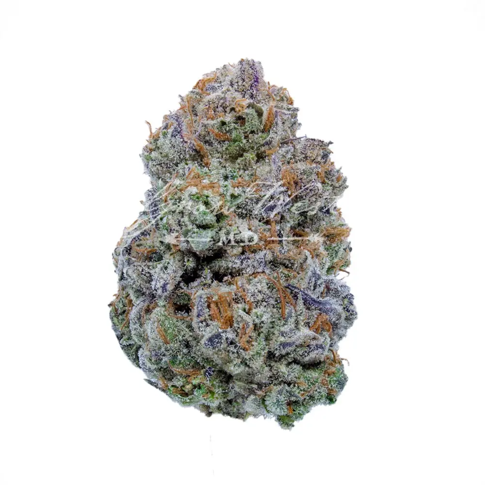 Grow West – Southwest Stomper x William's Wonder