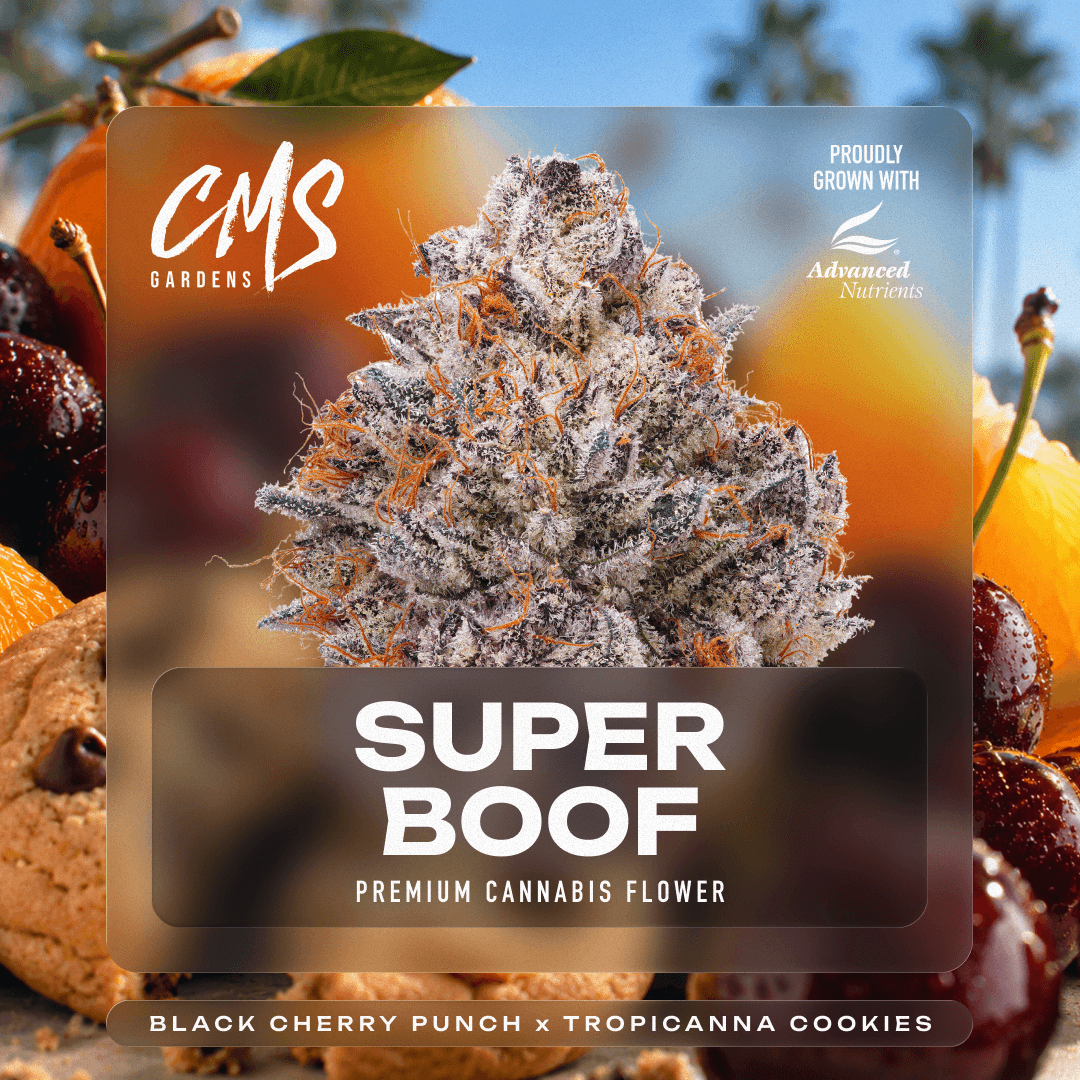 CMS Gardens – Super Boof