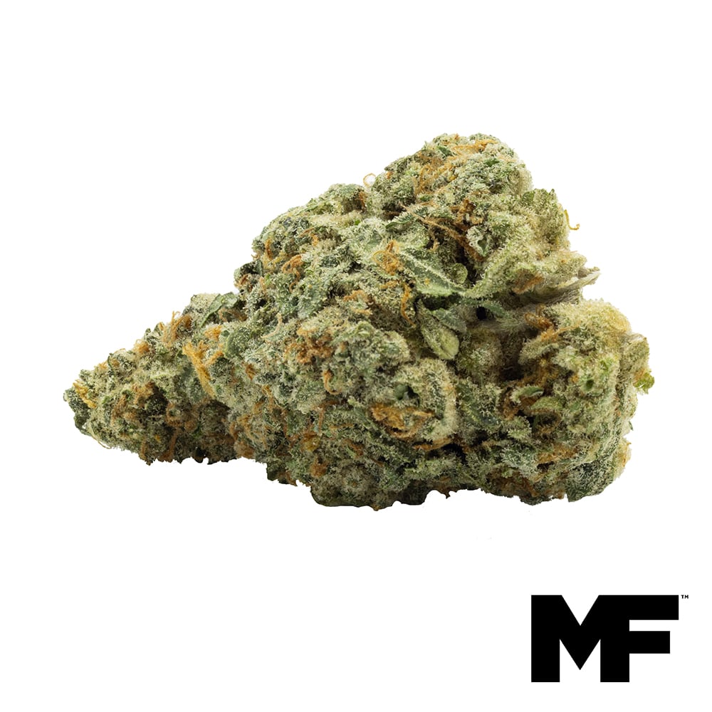 Modern Flower – Kushlato