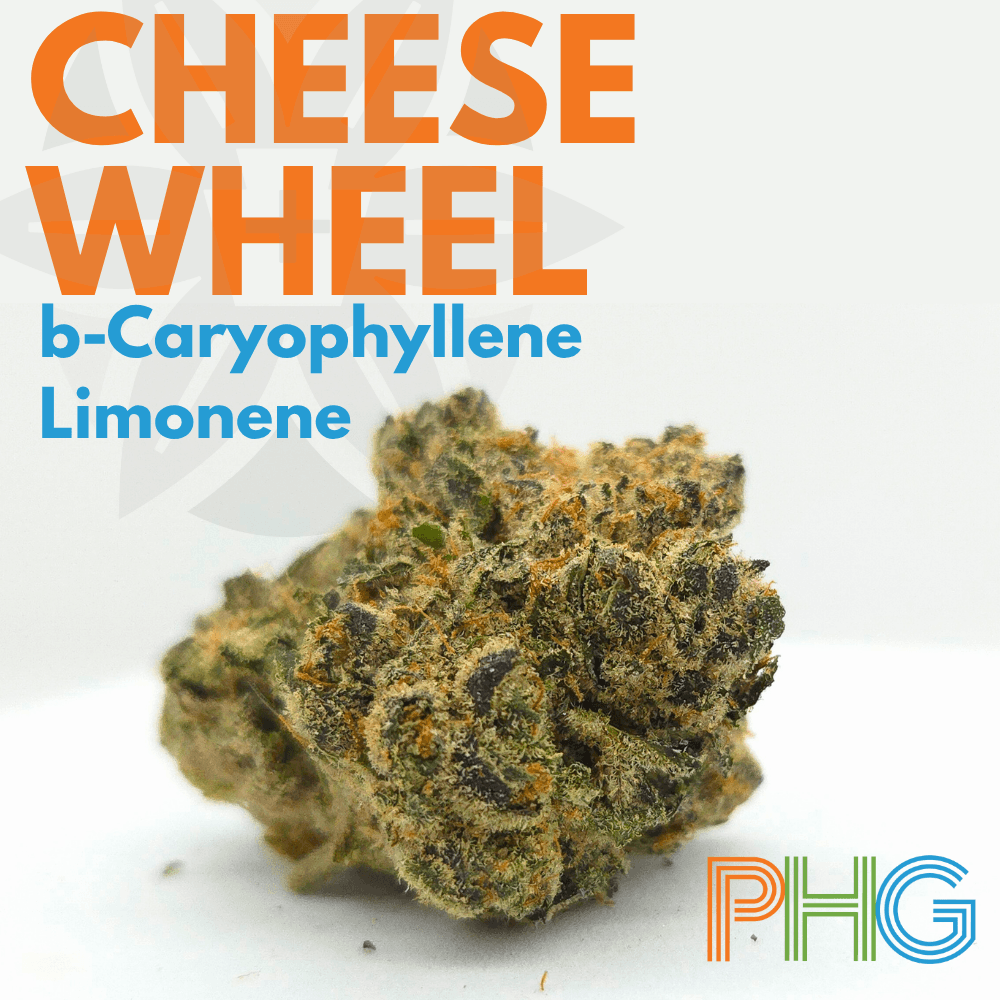 Penn Health Group – Cheese Wheel