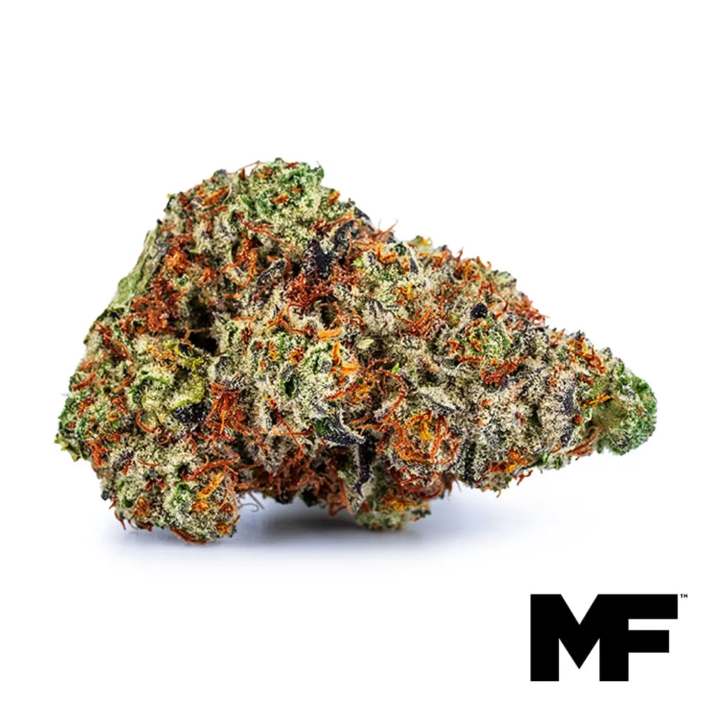 Modern Flower – Blue Beach Haze