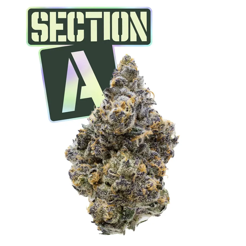 Fade Co. – Section A