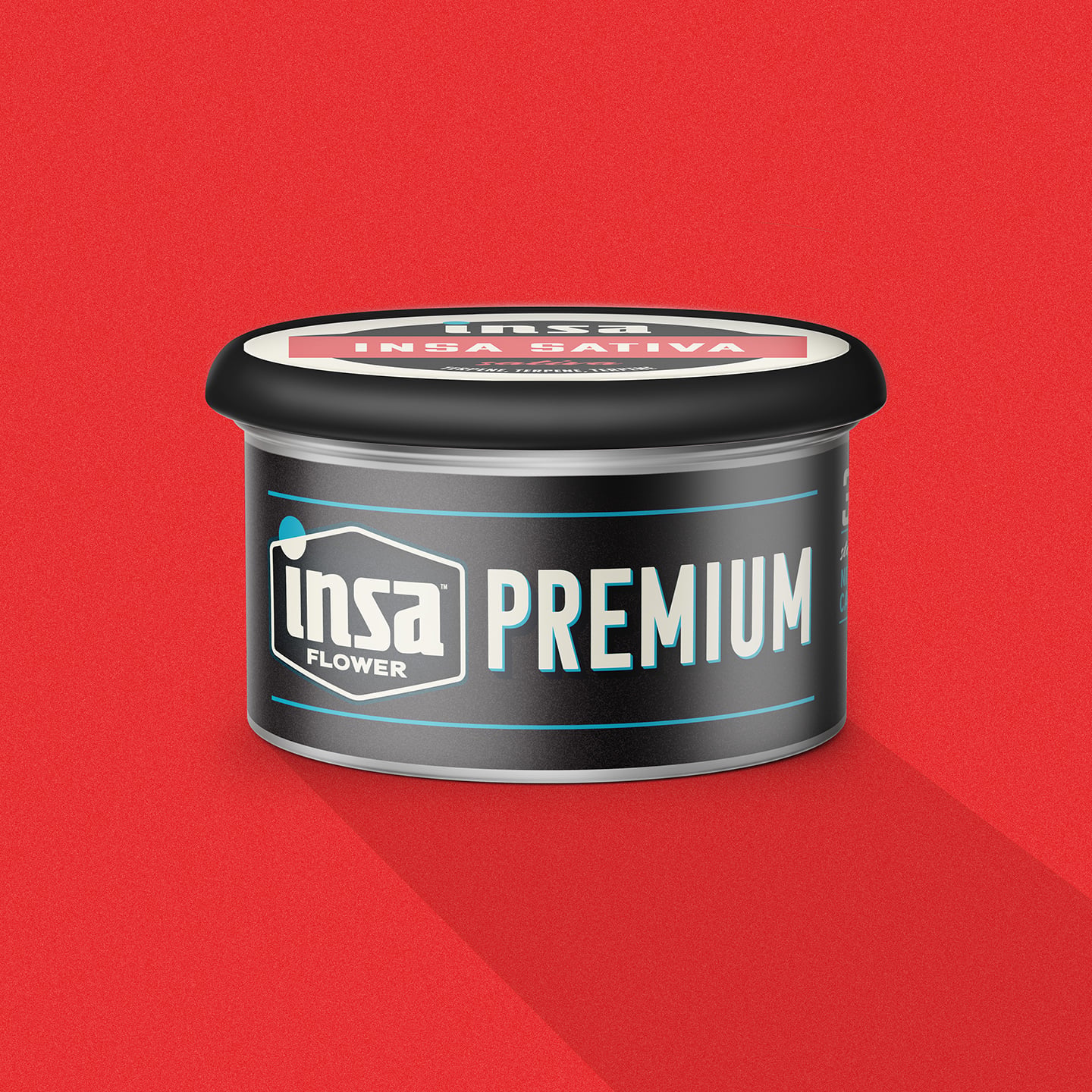 Insa – Pledge #12