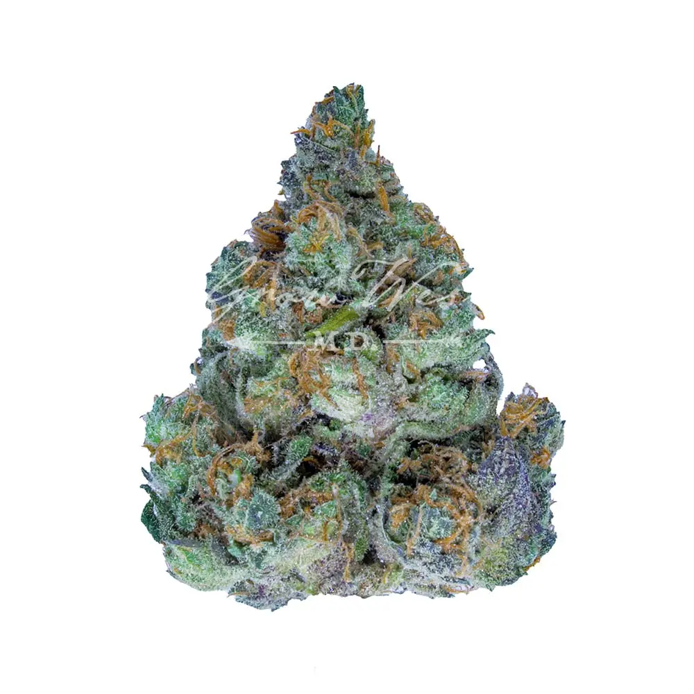 Grow West – Cherry Chocolate Widow