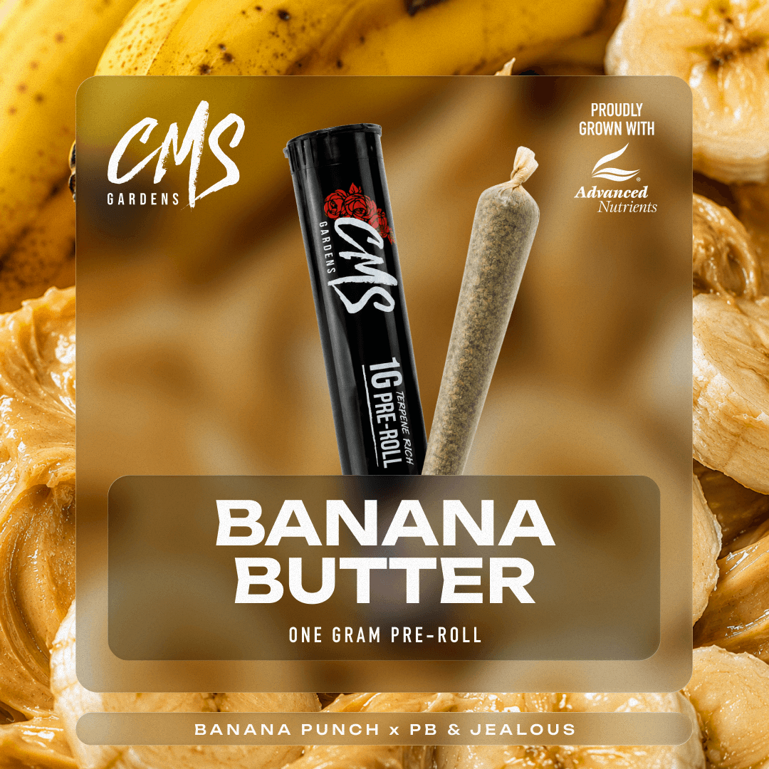 CMS Gardens – Banana Butter [1g]