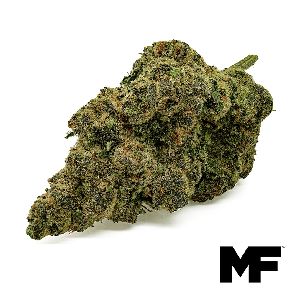 Modern Flower – Funk Mountain