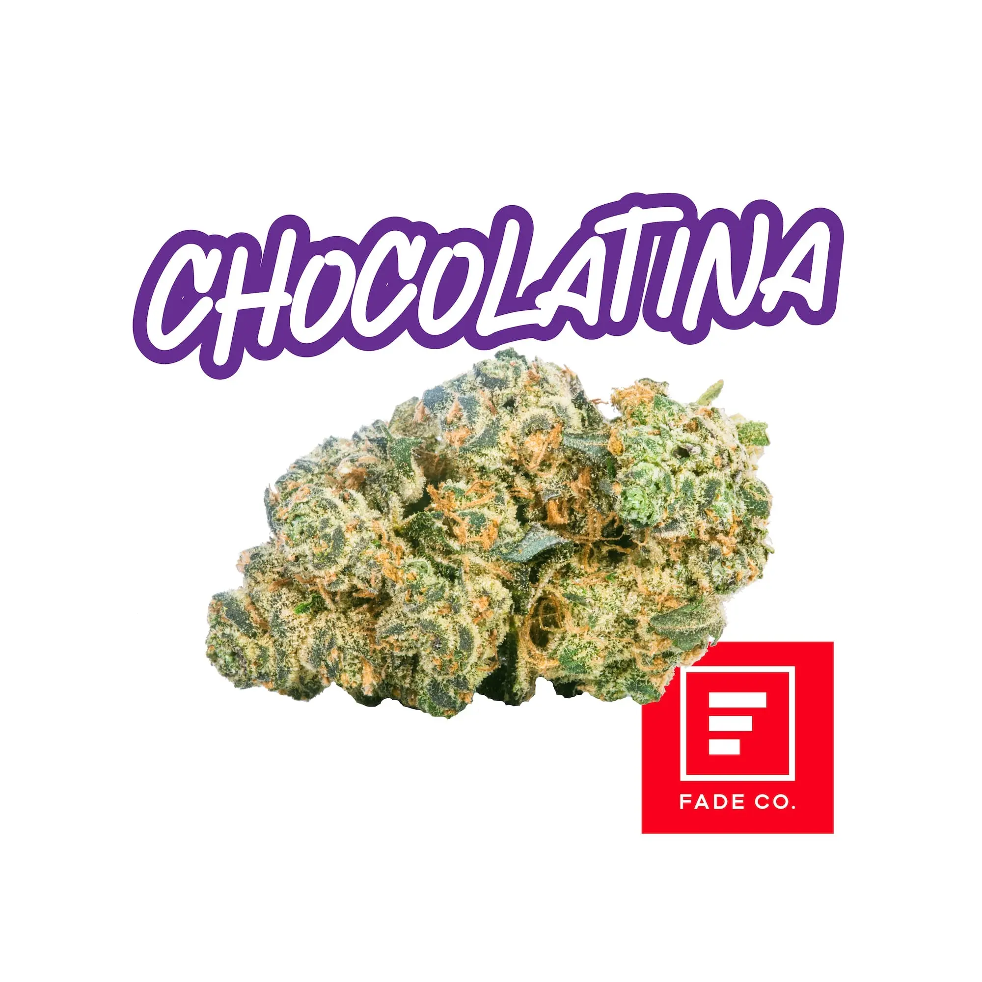 Fade Co. – Chocolatina