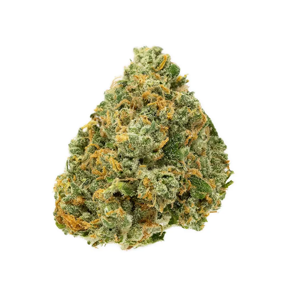 Terrapin – Biker Kush