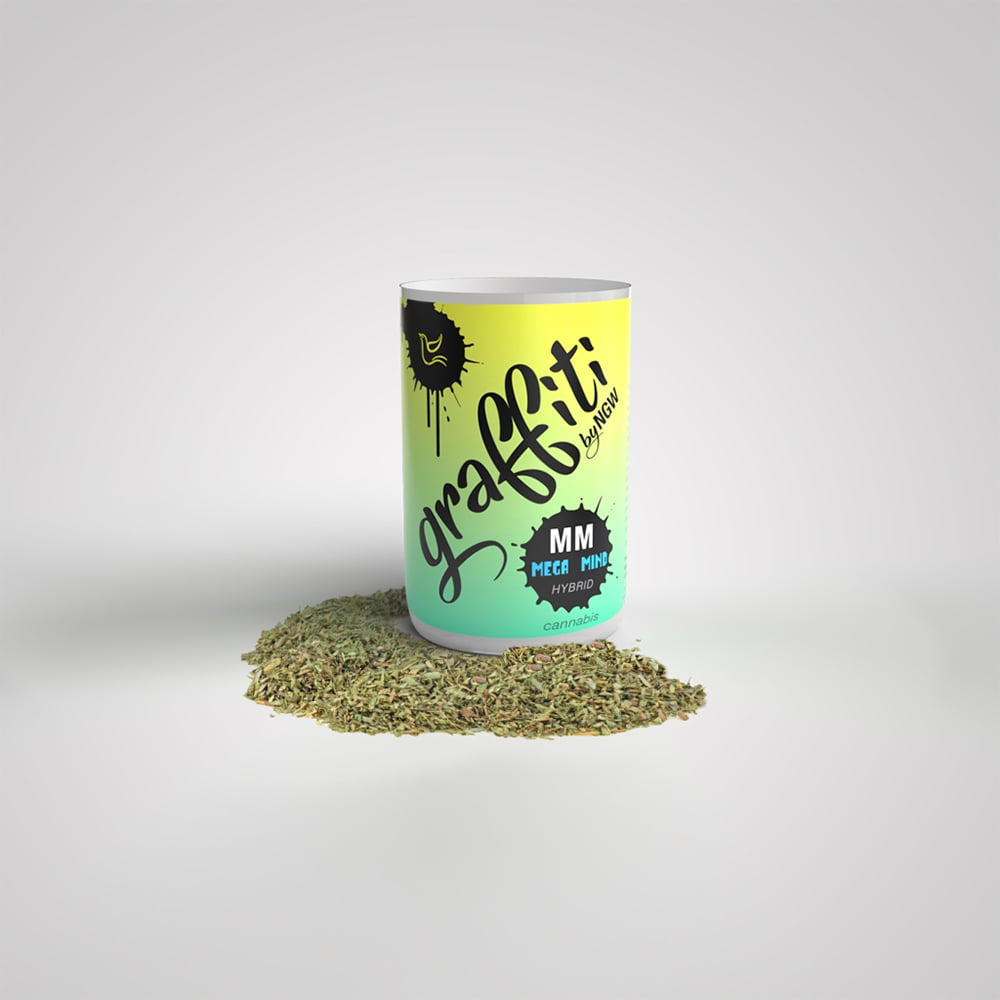 Graffiti – Mega Mind