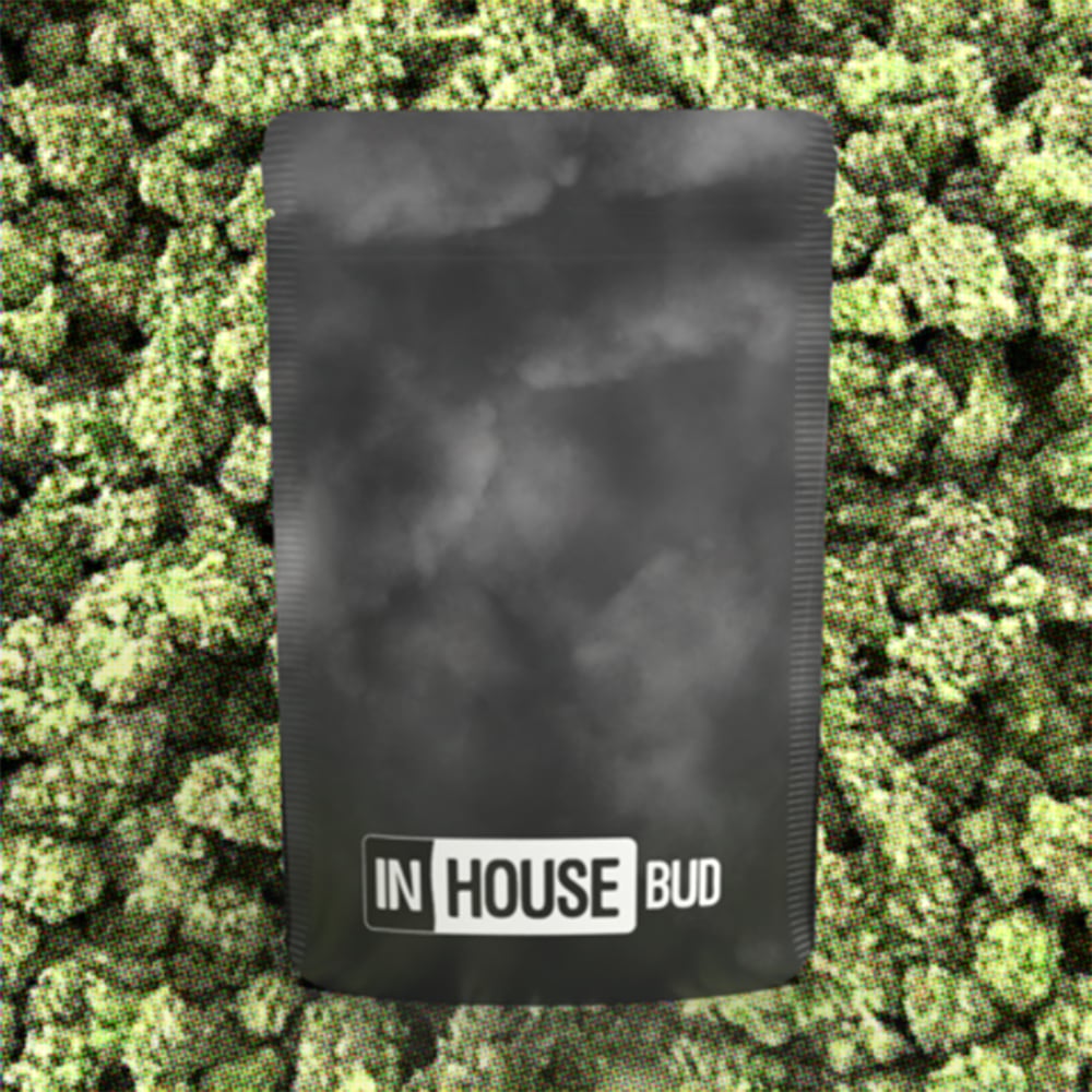 InHouse – Tamarindo