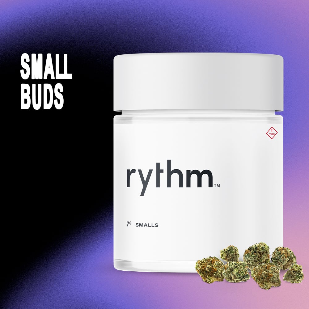 RYTHM – ANML SCT