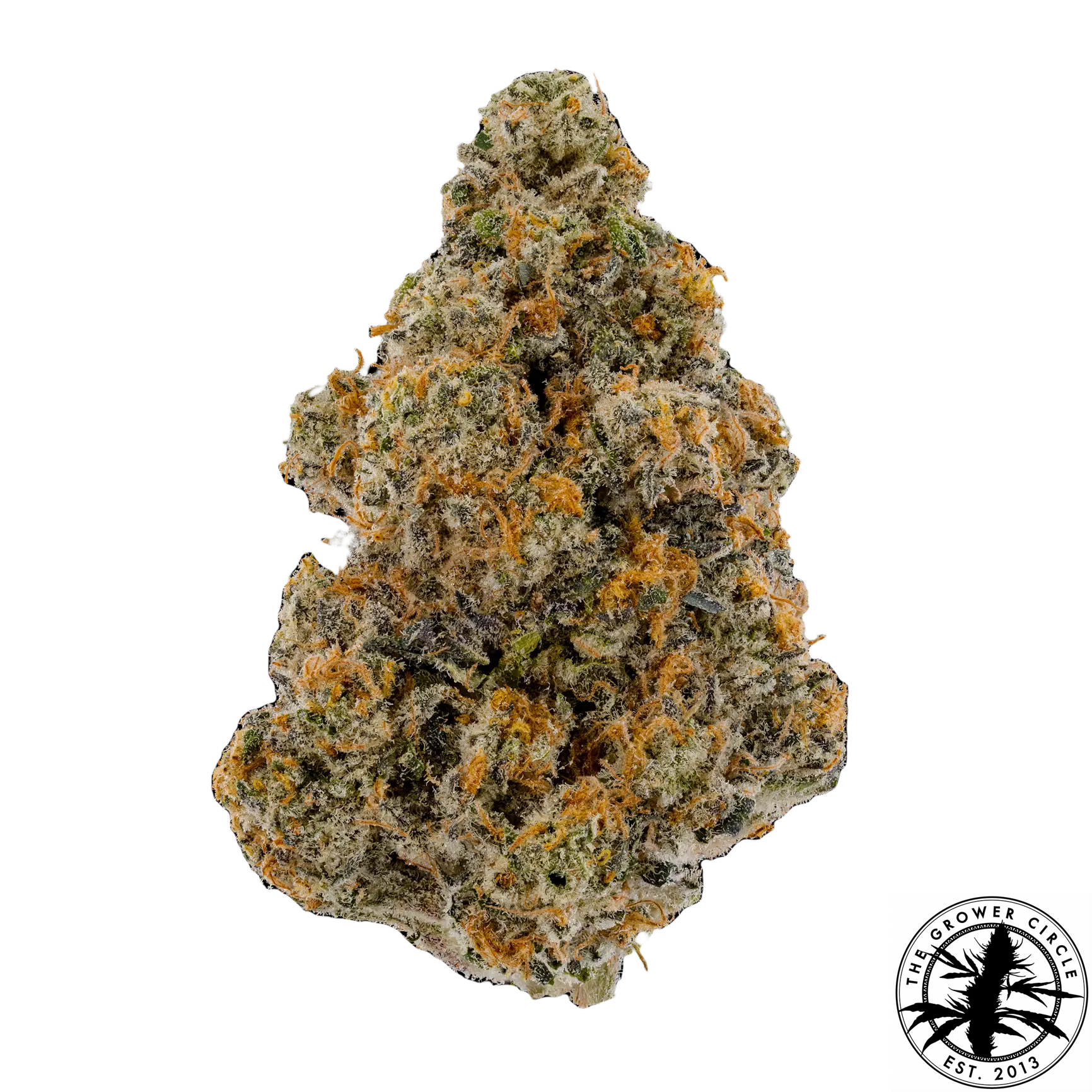 The Grower Circle – Double Down