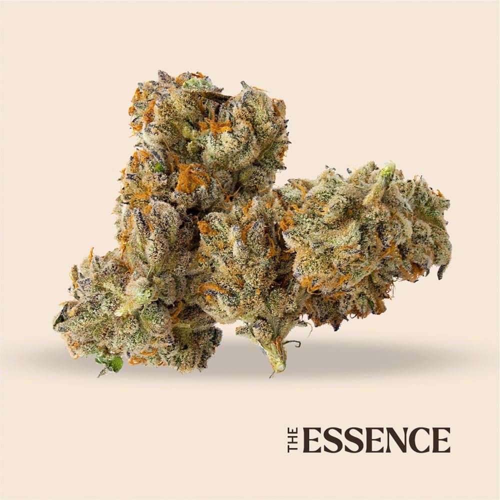(the) Essence – Gastro Pop