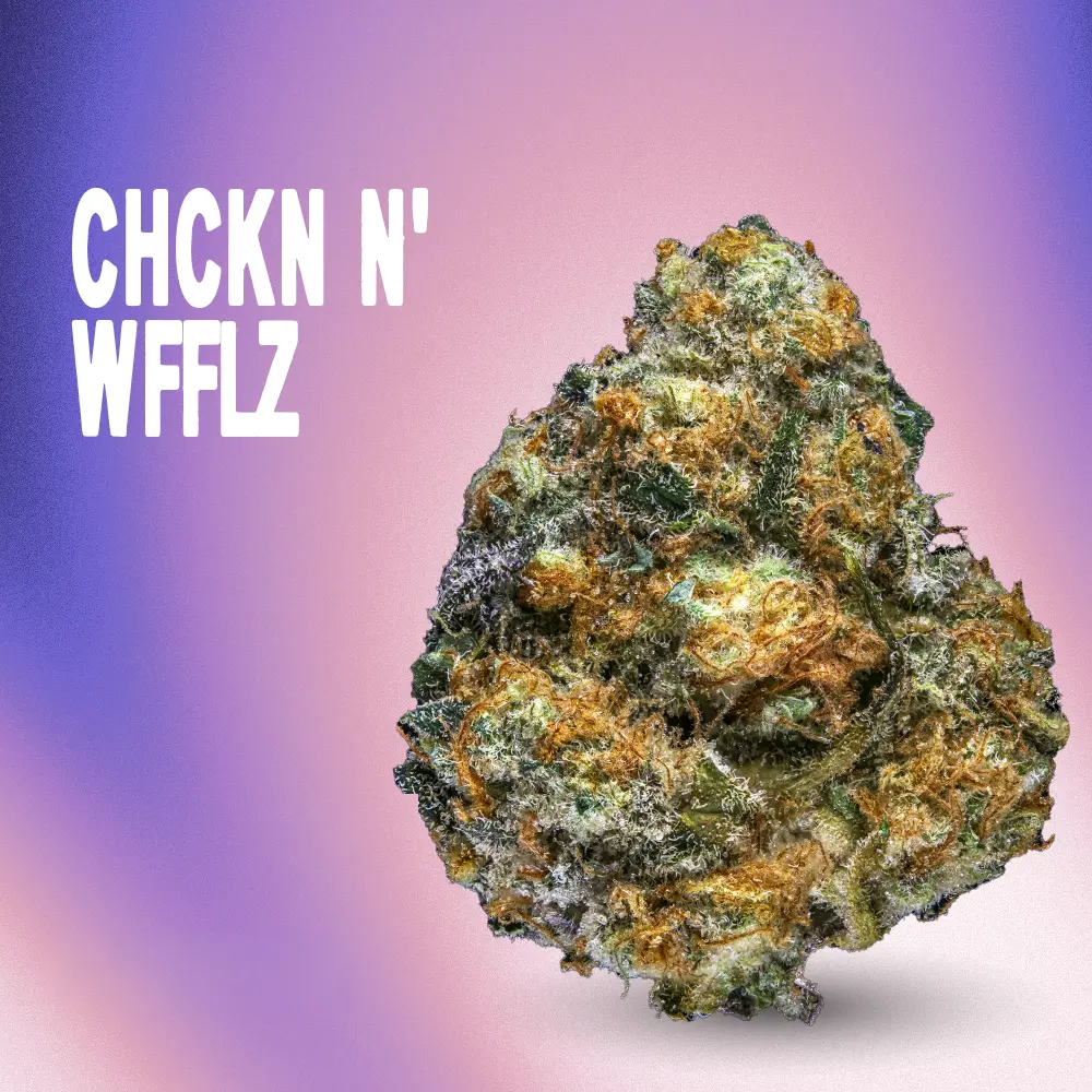 RYTHM – CHCKN N WFFLZ