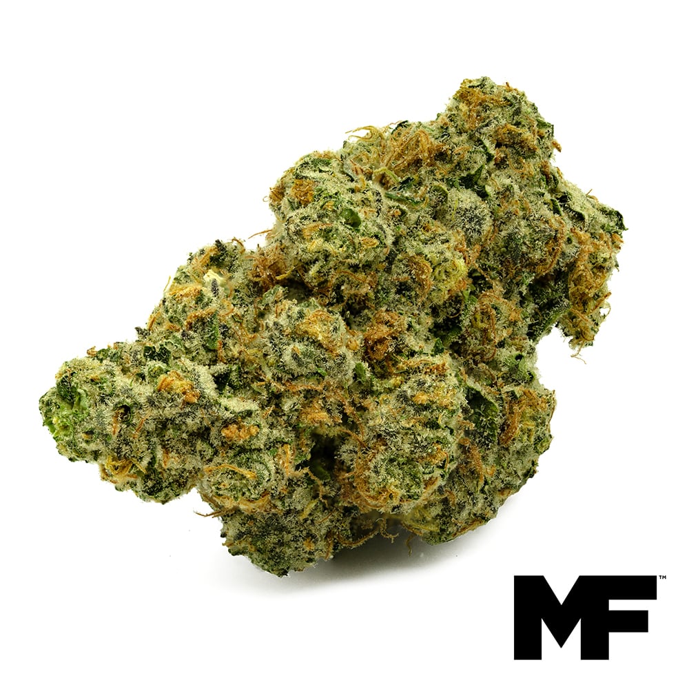 Modern Flower – Whoopie Pie