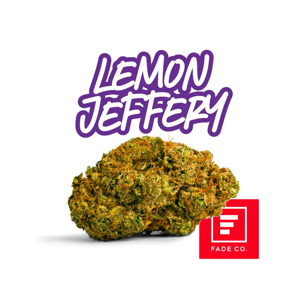 Fade Co. – Lemon Jeffery