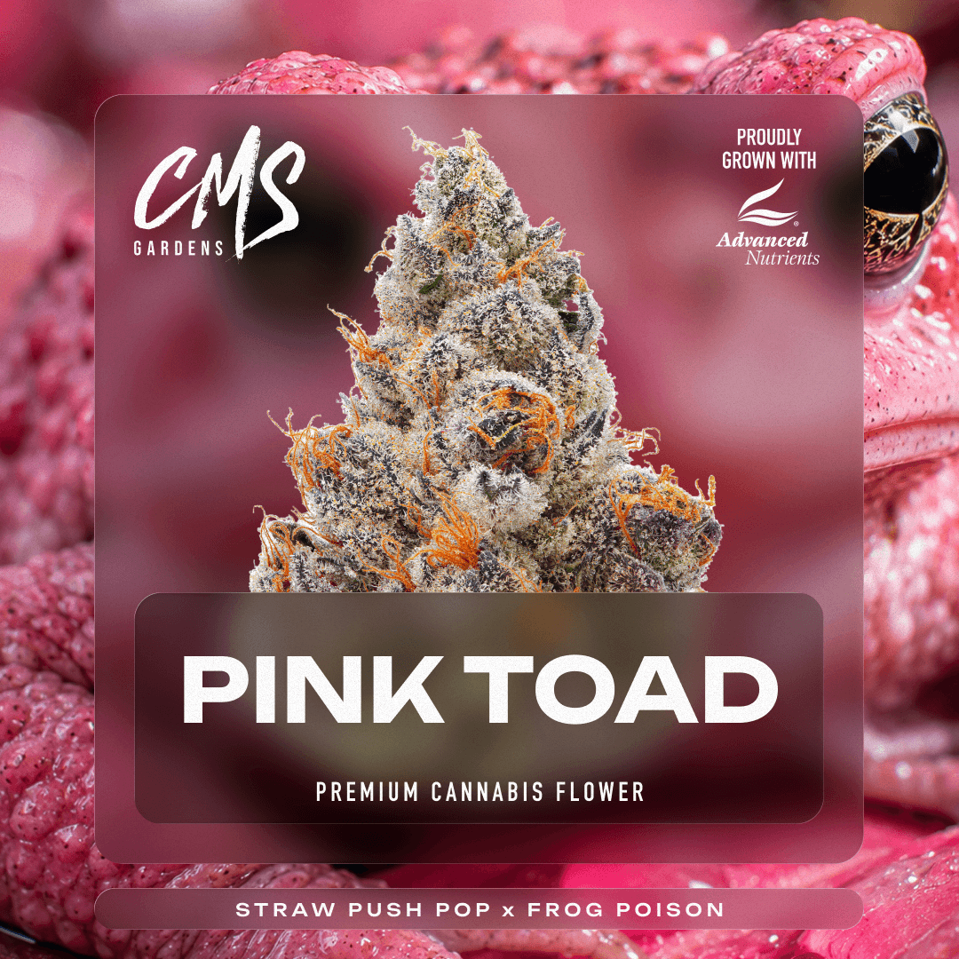 CMS Gardens – Pink Toad