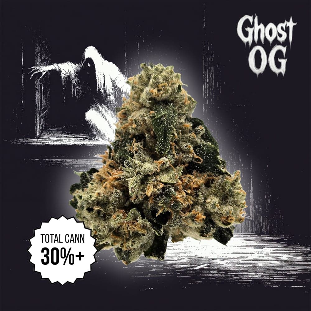 Legacy – Ghost OG