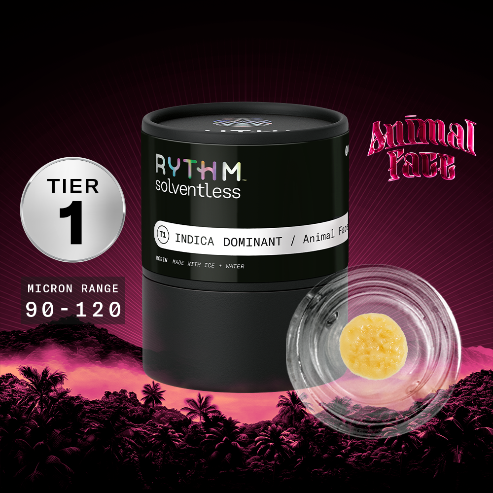 RYTHM – Animal Face