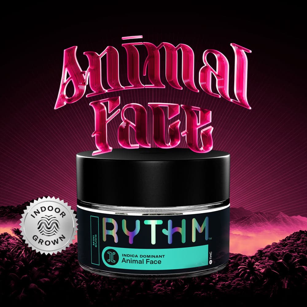 RYTHM – Animal Face