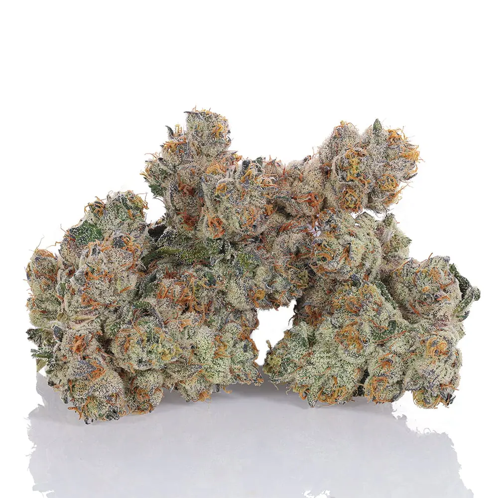 bLVd – Naked City Gushers