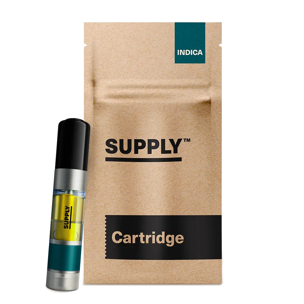 Supply™ – Roasted Orange