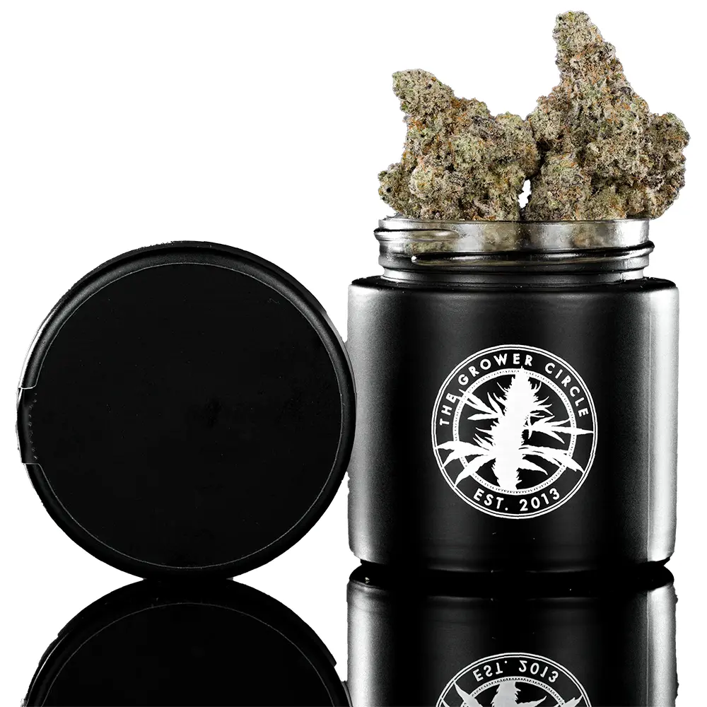 The Grower Circle – Glue