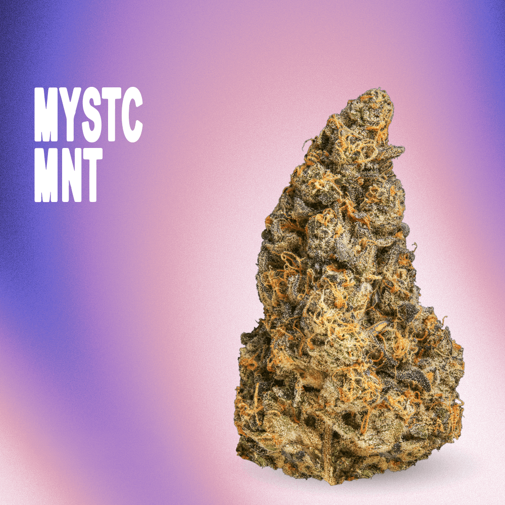 RYTHM – MYSTC MNT