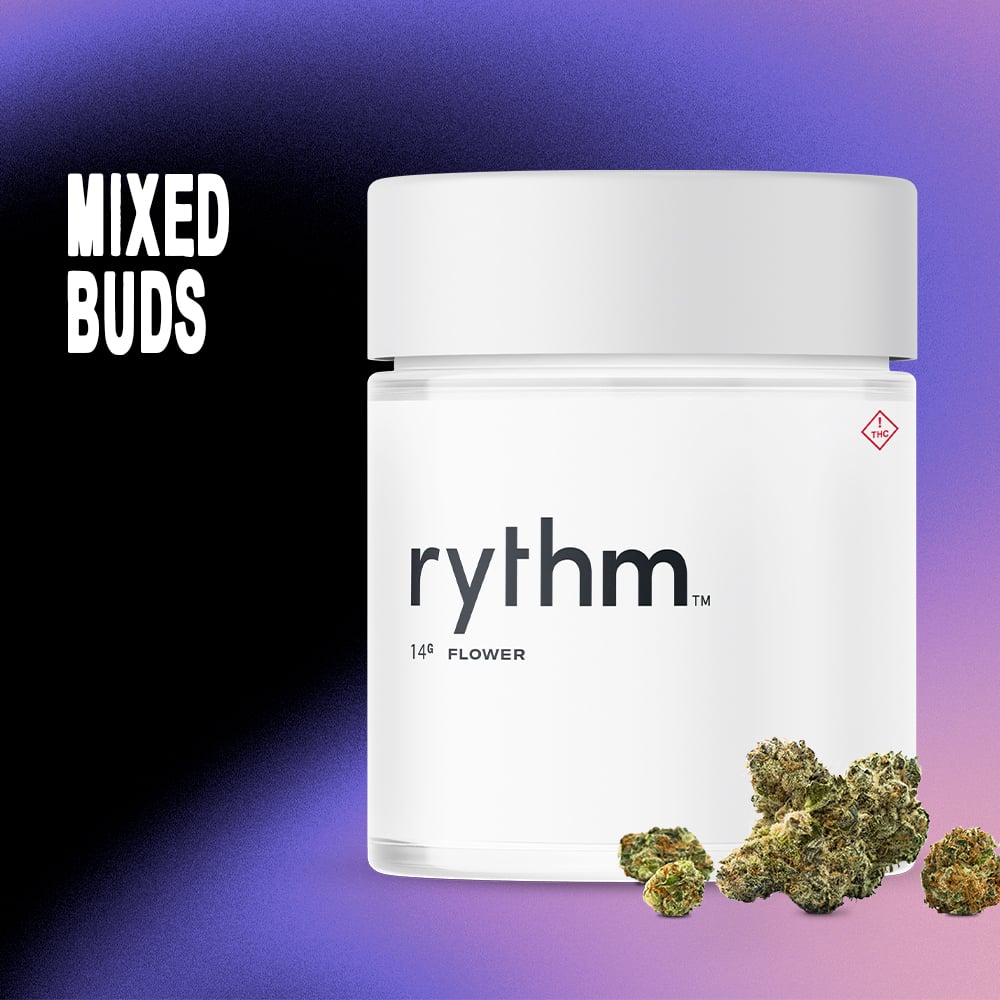 RYTHM – NGHT OWLL HZE