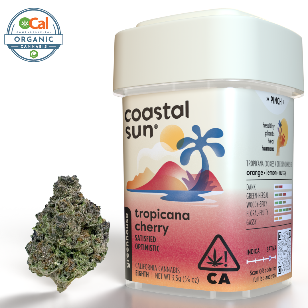 Coastal Sun – Tropicana Cherry