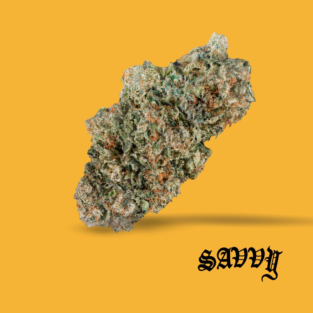 Savvy – Motorbreath
