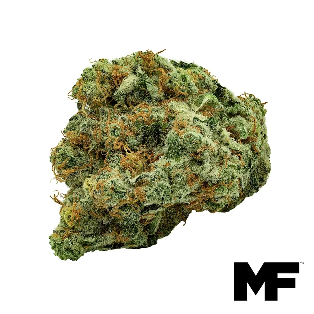 Modern Flower – Fruit Gushers