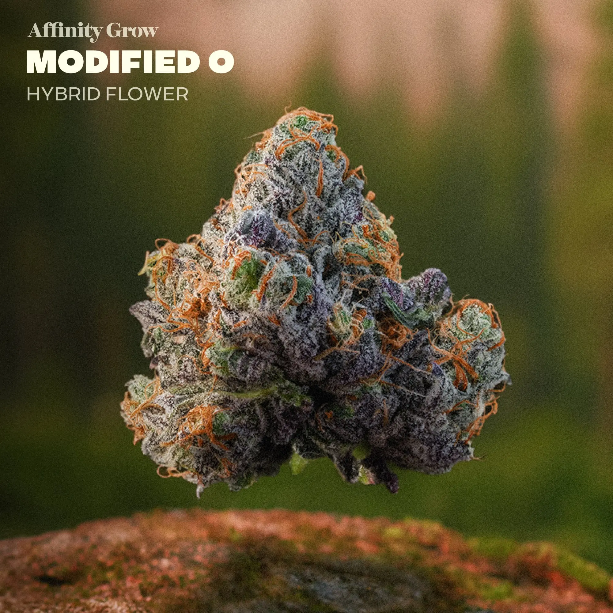 Affinity Grow – Modified O Flower T24.54% I 01072