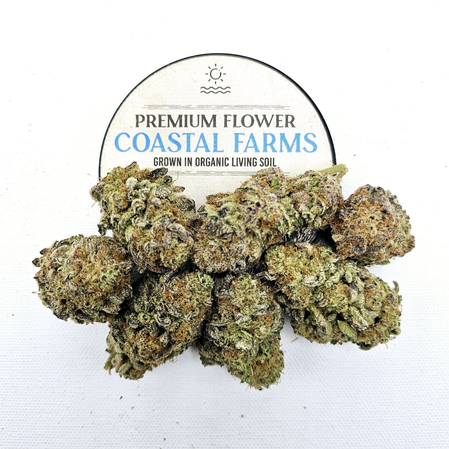 Coastal Farms – Lime Sorbet