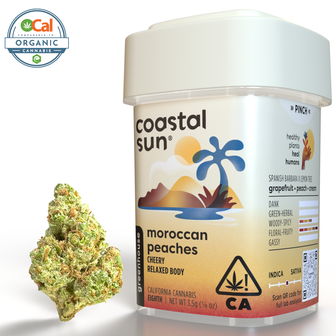 Coastal Sun – Moroccan Peaches
