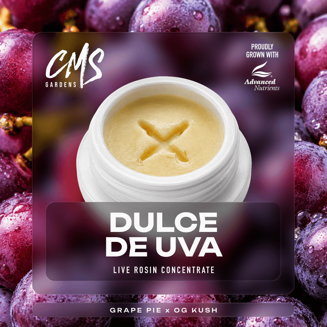 CMS Gardens – Dulce De Uva [3.5g]