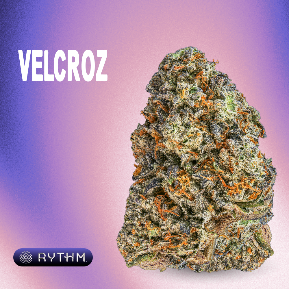 RYTHM – Velcroz