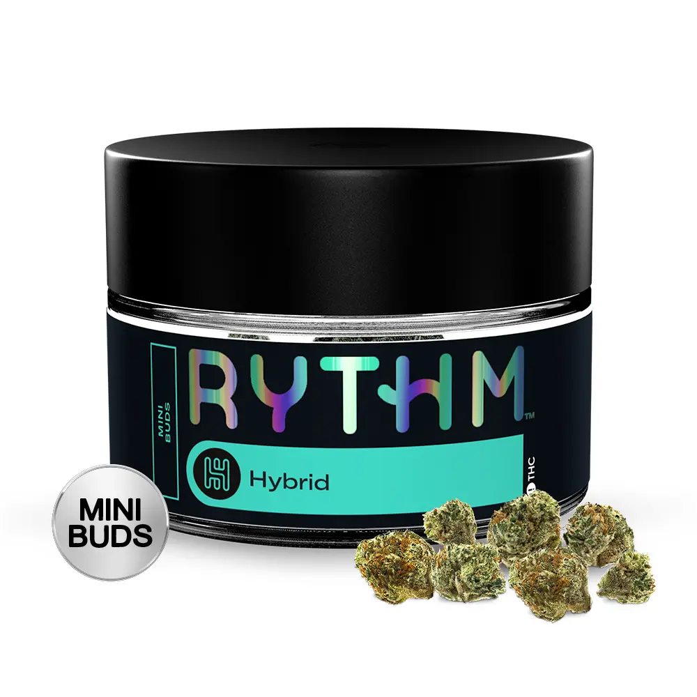RYTHM – Honey Zanana
