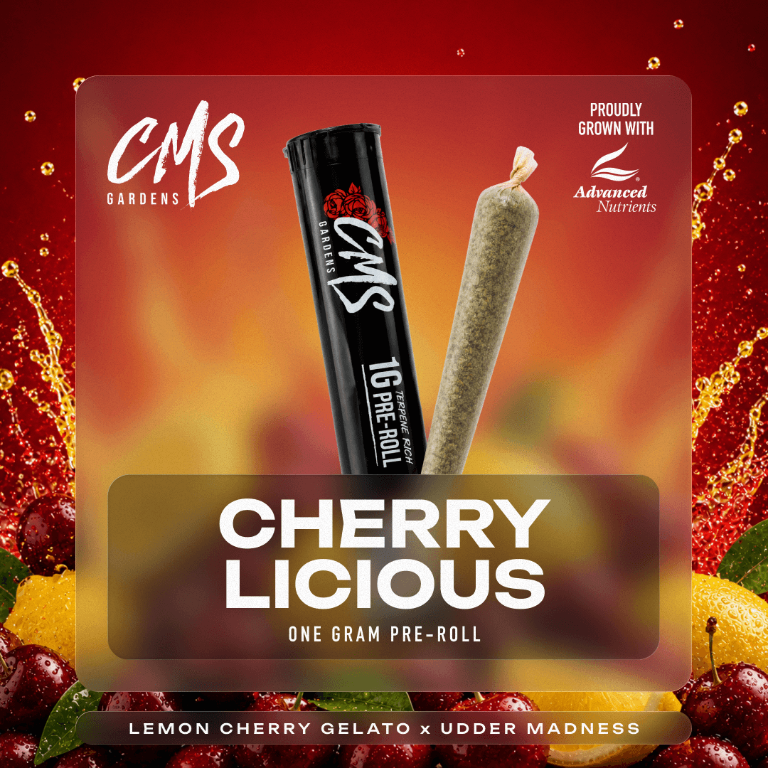 CMS Gardens – Cherrylicious [1g]