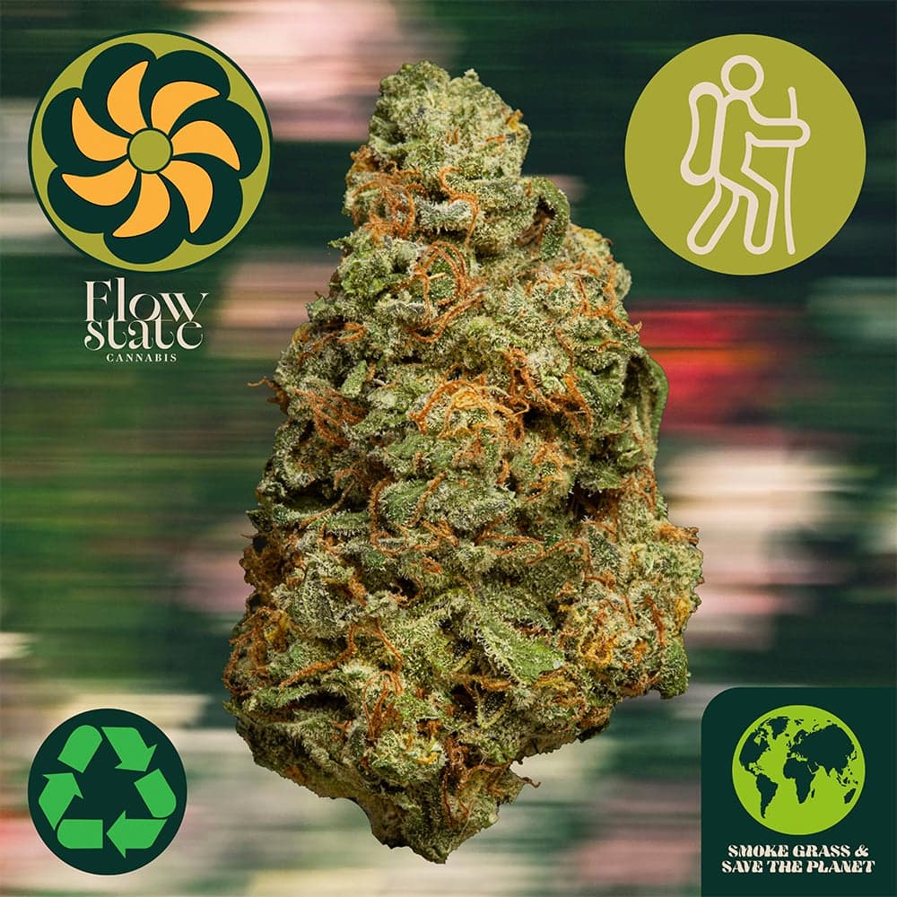 Flow State Cannabis – Flow State Lemon Cherry Gelato 42302