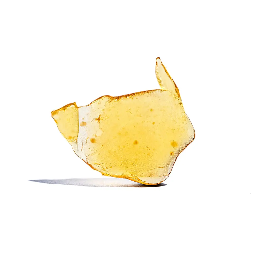 Equity Extracts – Midnight Circus