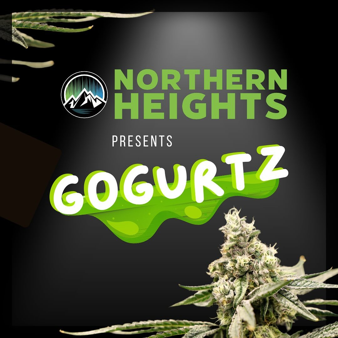 Northern Heights – Gogurtz