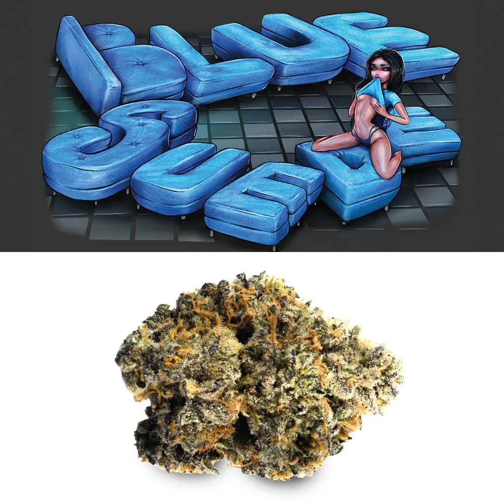 Cookies – Blue Suede